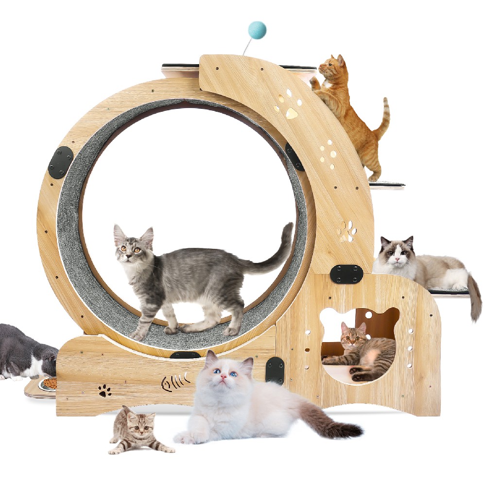 Cat Exercise Wheel Exerciser | Indoor Cat Treadmill | Large Cat Running Wheel with Ladder Cat Bowl | Suitable for Cat Weight Loss and Health